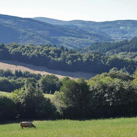 Ahoma, Sejour Bien-Etre, Calme Et Serenite. Labruguiere Bagian luar foto