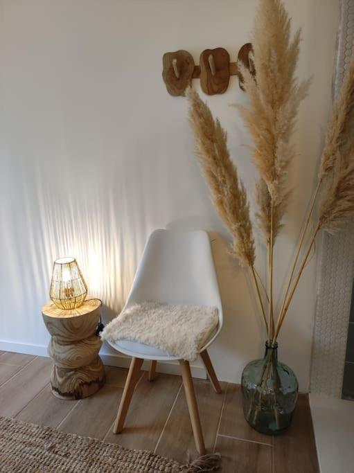 Ahoma, Sejour Bien-Etre, Calme Et Serenite. Labruguiere Bagian luar foto