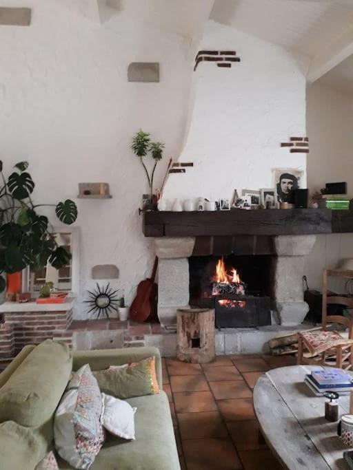 Ahoma, Sejour Bien-Etre, Calme Et Serenite. Labruguiere Bagian luar foto