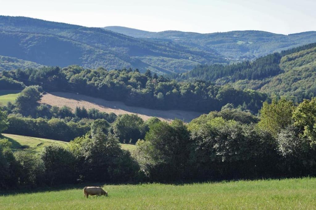 Ahoma, Sejour Bien-Etre, Calme Et Serenite. Labruguiere Bagian luar foto