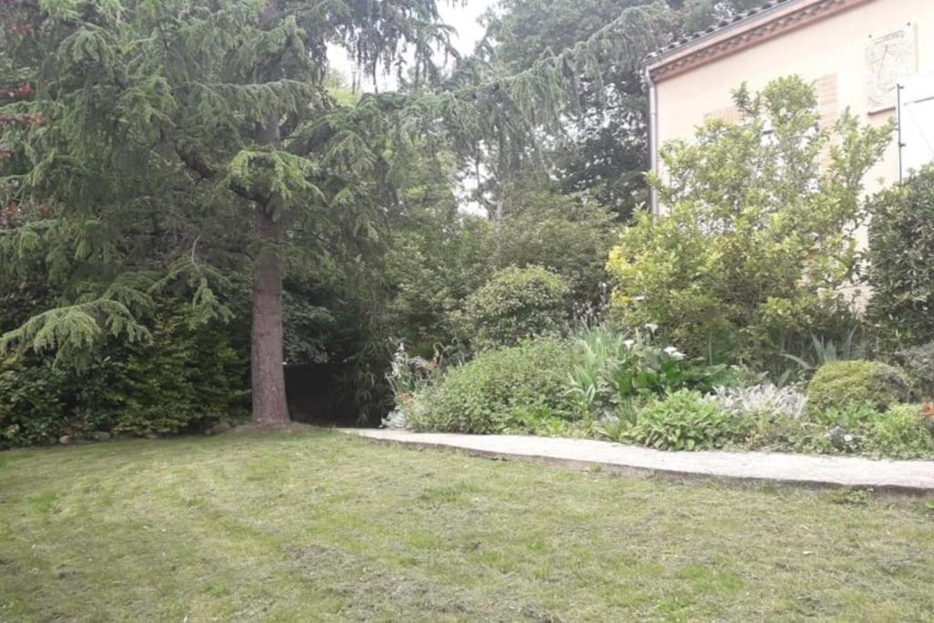 Ahoma, Sejour Bien-Etre, Calme Et Serenite. Labruguiere Bagian luar foto
